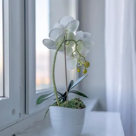 Silversky Altitude - Centrum Apartament *