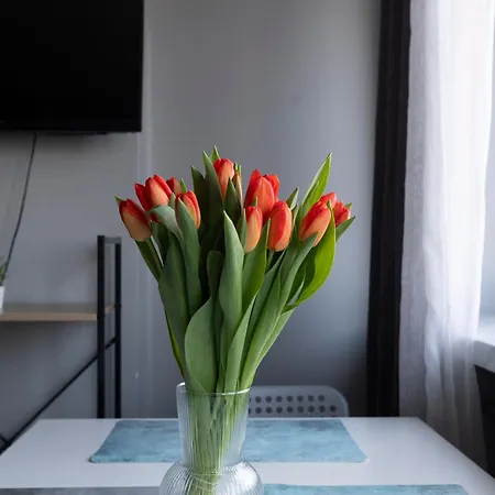 Apartament Silversky Altitude - Centrum Warszawa